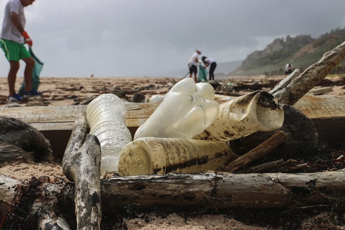 Volunteers working together on a beach cleanup along the coast