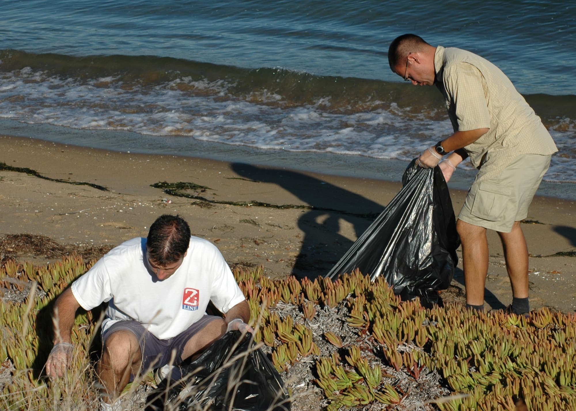 Two volunteers with gloves and trash bags pick litter from ice plant along the shoreline during a San Diego beach cleanup